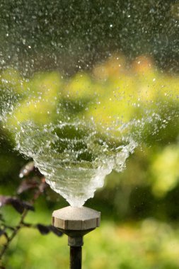 defocused, bulanık su, bokeh doğa damla