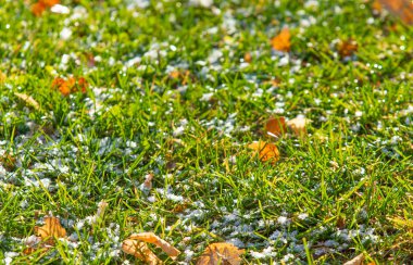 yeşil çim kar arka plan bokeh bulanık