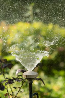 defocused, bulanık su, bokeh doğa damla