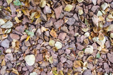 tam kare görünümü yol ezilmiş taş yol