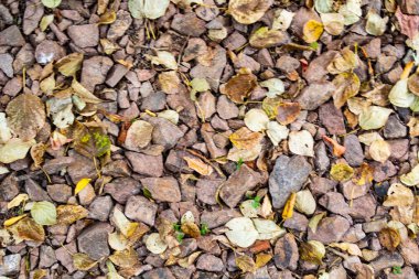 tam kare görünümü yol ezilmiş taş yol