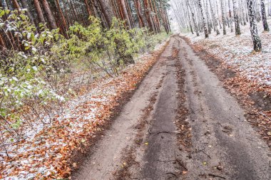Kış ormanı boyunca yol
