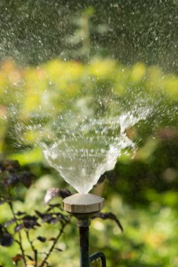 defocused, bulanık su, bokeh doğa damla