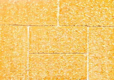 beyaz zemin üzerine susam kraker tanımlama bilgileri