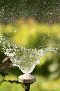 defocused, bulanık su, bokeh doğa damla