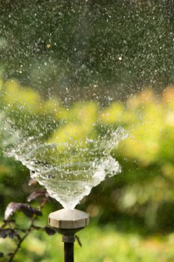 defocused, bulanık su, bokeh doğa damla