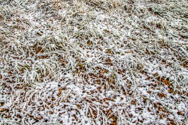 Sonbahar, karda çimen bırakır.