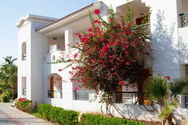 beyaz evler kıyıları