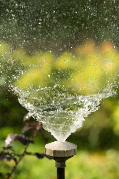 defocused, bulanık su, bokeh doğa damla