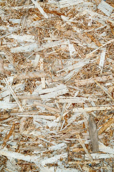 wood panel from chip wood chips