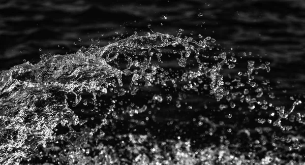 water drops in the air on a dark bokeh background