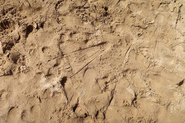 Sand Footprints Background — Stock Photo, Image