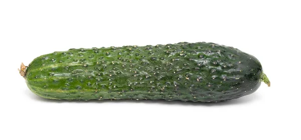 Свежий Зеленый Огурец Белом Фоне — стоковое фото
