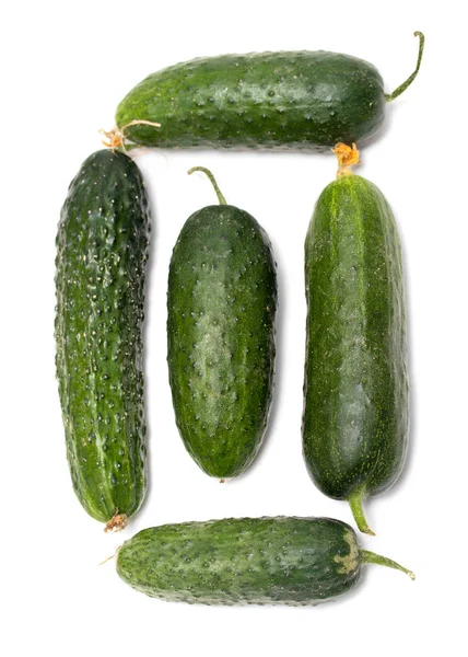 Verse Groene Komkommer Witte Achtergrond — Stockfoto