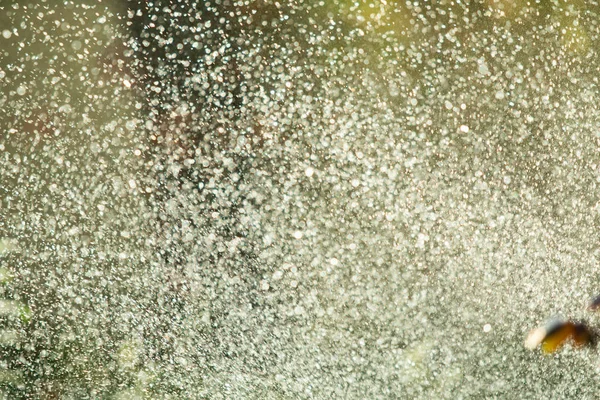 defocused, bulanık su, bokeh doğa damla