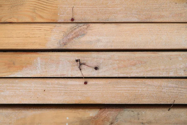 Tablero Madera Valla Fondo Textura — Foto de Stock