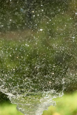 defocused, bulanık su, bokeh doğa damla