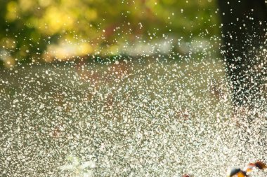 defocused, bulanık su, bokeh doğa damla