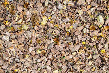 tam kare görünümü yol ezilmiş taş yol