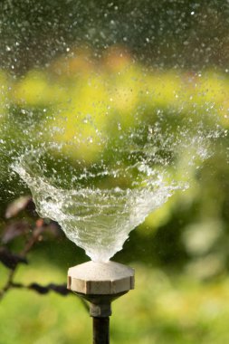 defocused, bulanık su, bokeh doğa damla