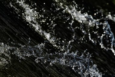 bir karanlık bokeh arka plan üstünde su damlaları