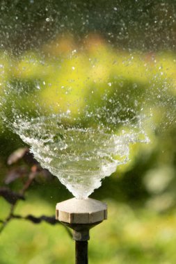 defocused, bulanık su, bokeh doğa damla