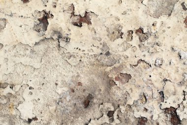 tam kare resmi arka plan doku