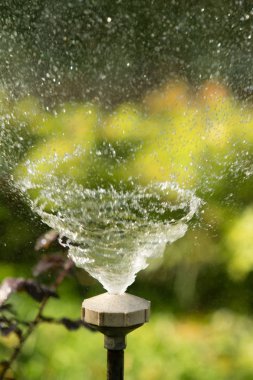 defocused, bulanık su, bokeh doğa damla