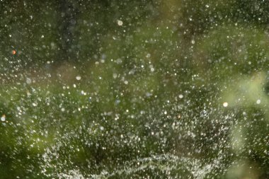 defocused, bulanık su, bokeh doğa damla