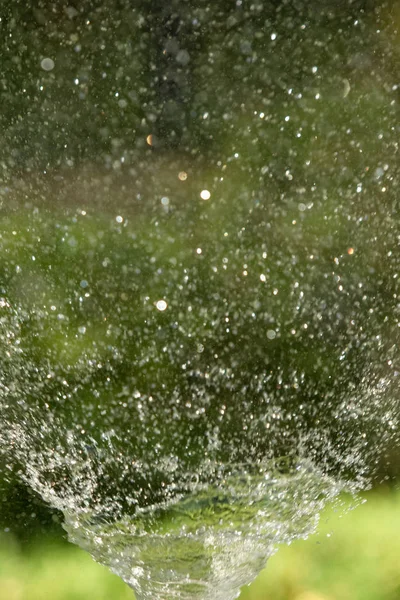 defocused, bulanık su, bokeh doğa damla