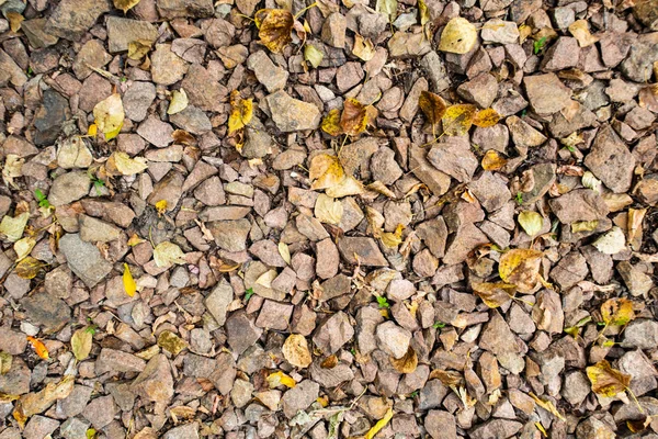 tam kare görünümü yol ezilmiş taş yol