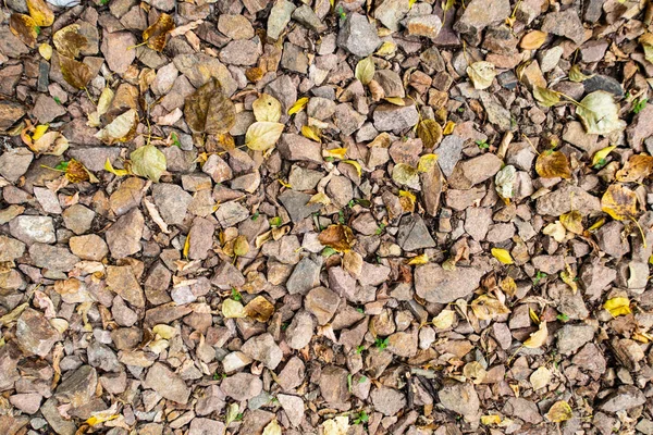 tam kare görünümü yol ezilmiş taş yol