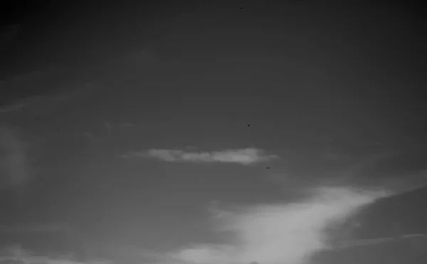 Nori Albi Cer Întunecat Monocrom — Fotografie, imagine de stoc