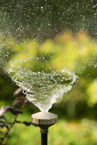 defocused, bulanık su, bokeh doğa damla