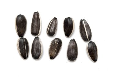 Beyaz arkaplanda izole edilmiş ayçiçeği tohumları