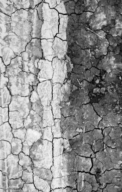 arka plan doku kırık dünya