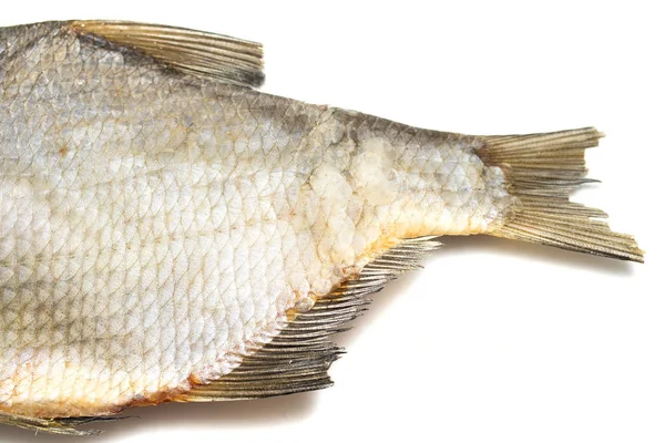 Peixe Sargo Seco Fundo Branco — Fotografia de Stock