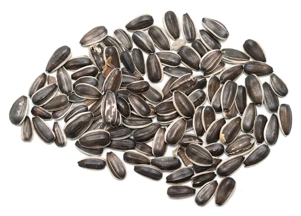 Gray Sunflower Seeds Isolated White Background — Stock Photo, Image