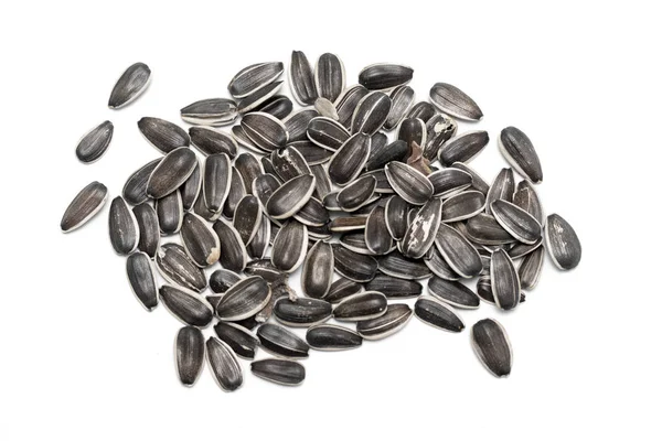 Gray Sunflower Seeds Isolated White Background — Stock Photo, Image