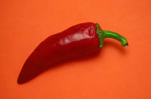 Red hot chili pepper, isolated
