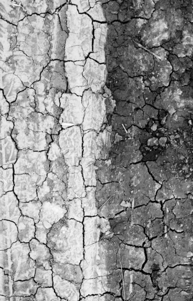 Textura Fondo Tierra Agrietada — Foto de Stock