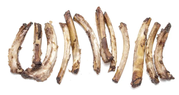 Bones Eaten Meat — Stock Photo, Image