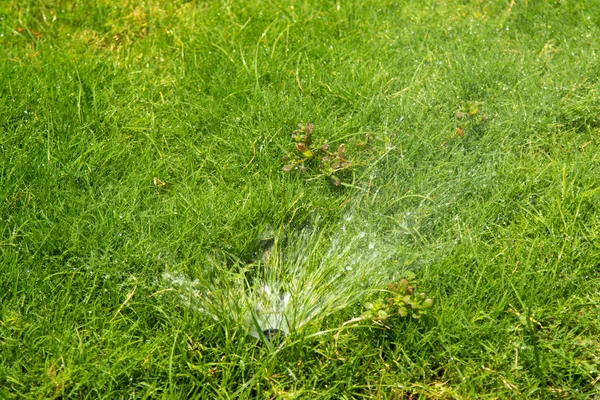 Defokussiertes Bewässerungssystem Das Das Grüne Gras Mit Bokeh Hintergrund Wässert — Stockfoto