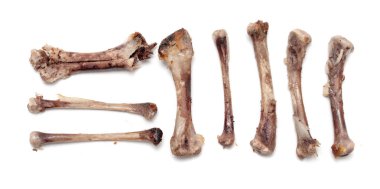 Beyaz bir arka plan üzerinde kemik tavuk