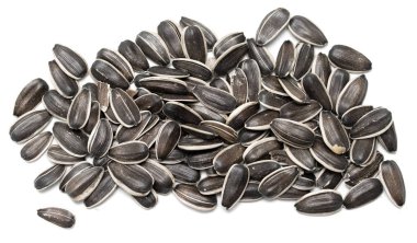 Beyaz arka plan üzerinde izole gri Ayçekirdeği