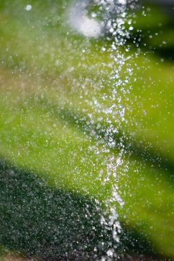 Bokeh arka plan ile yeşil çim sulama ufuk, sulama sistemi.