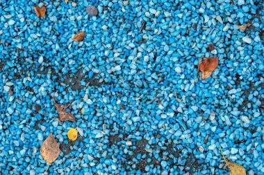 mavi taş ve ağaç yaprakları