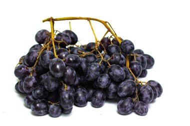 kara üzüm beyaz arka plan üzerinde izole bir demet
