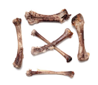 Beyaz bir arka plan üzerinde kemik tavuk