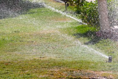 Bokeh arka plan ile yeşil çim sulama ufuk, sulama sistemi.